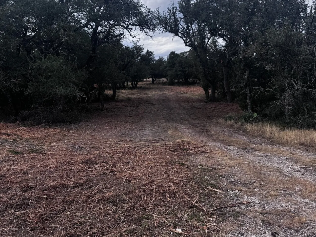 Cedar removal project in Rock Springs, Texas